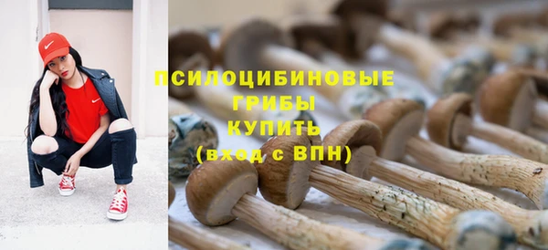 таблы Елизово