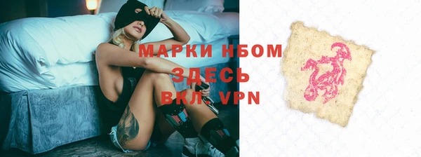прущие грибы Абаза