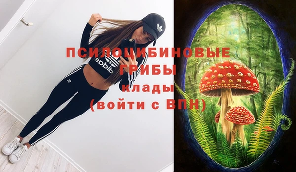 a pvp Алексеевка