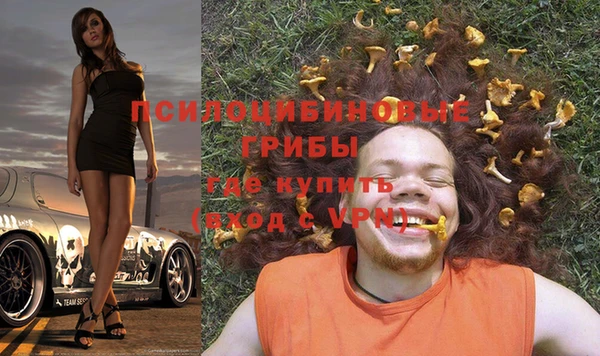 ALPHA PVP Алексин